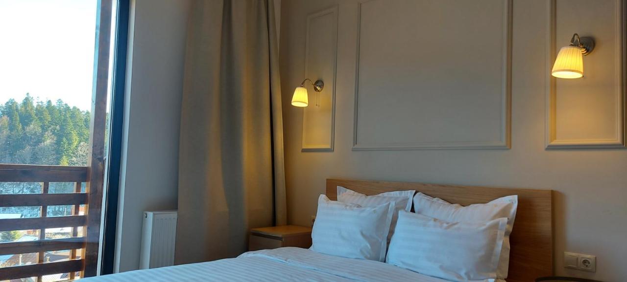 Vila Panoramic Szászbuda Kültér fotó