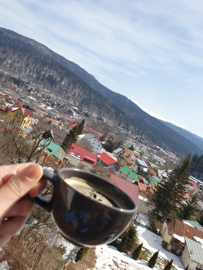 Vila Panoramic Szászbuda Kültér fotó