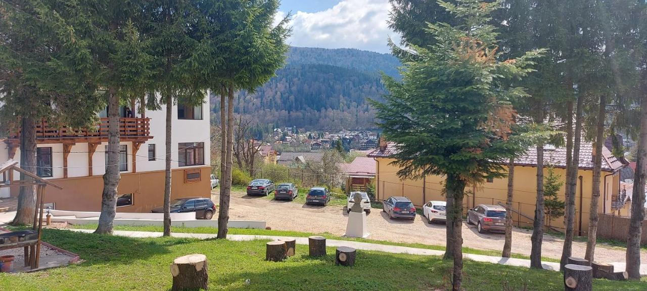 Vila Panoramic Szászbuda Kültér fotó