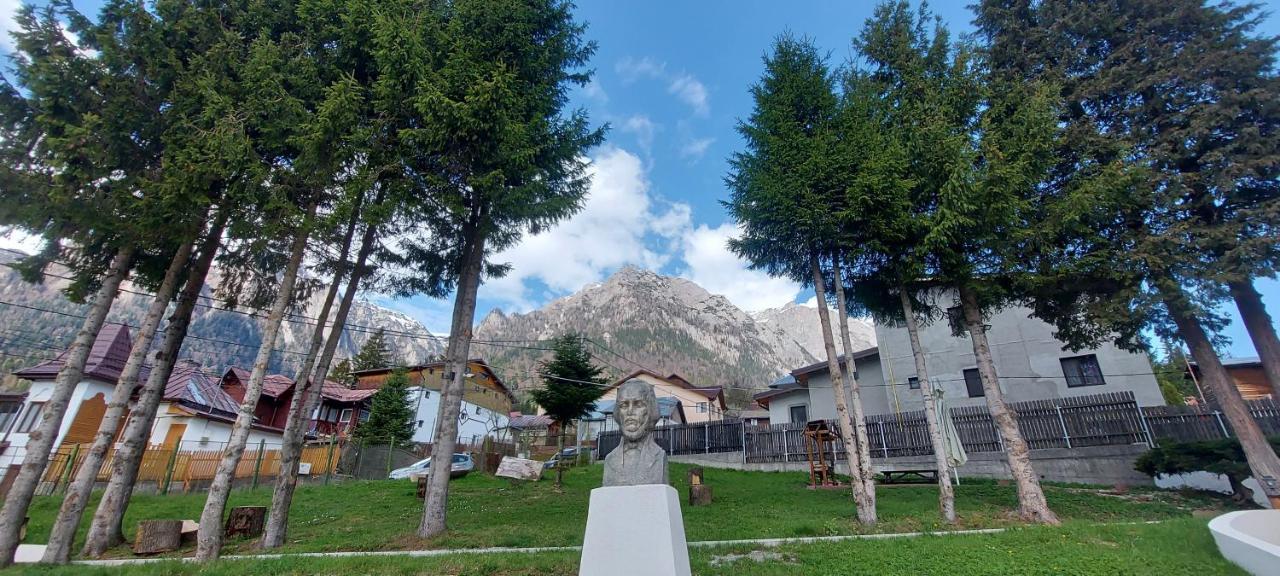Vila Panoramic Szászbuda Kültér fotó