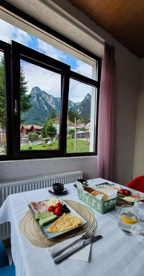 Vila Panoramic Szászbuda Kültér fotó