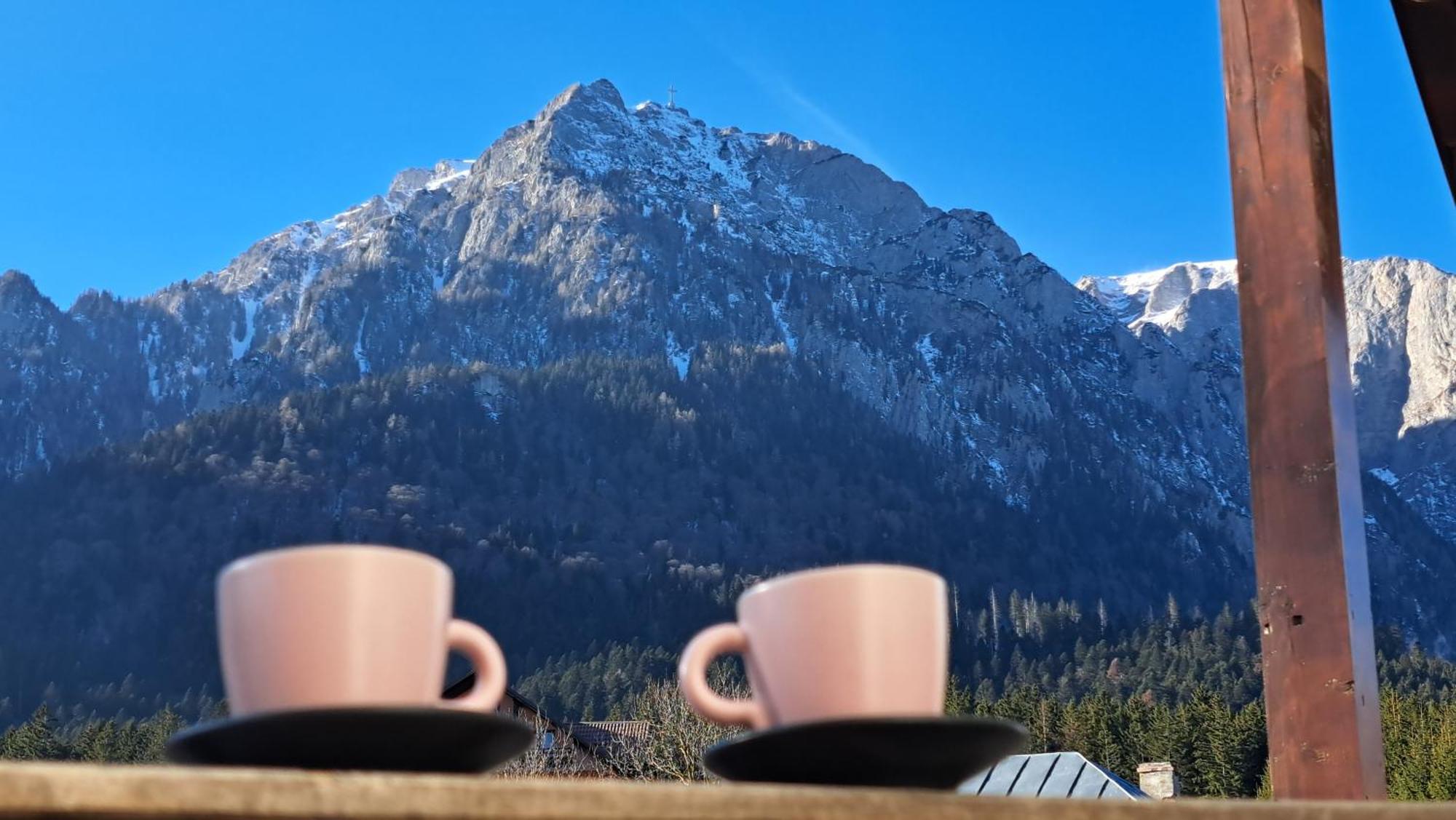 Vila Panoramic Szászbuda Kültér fotó